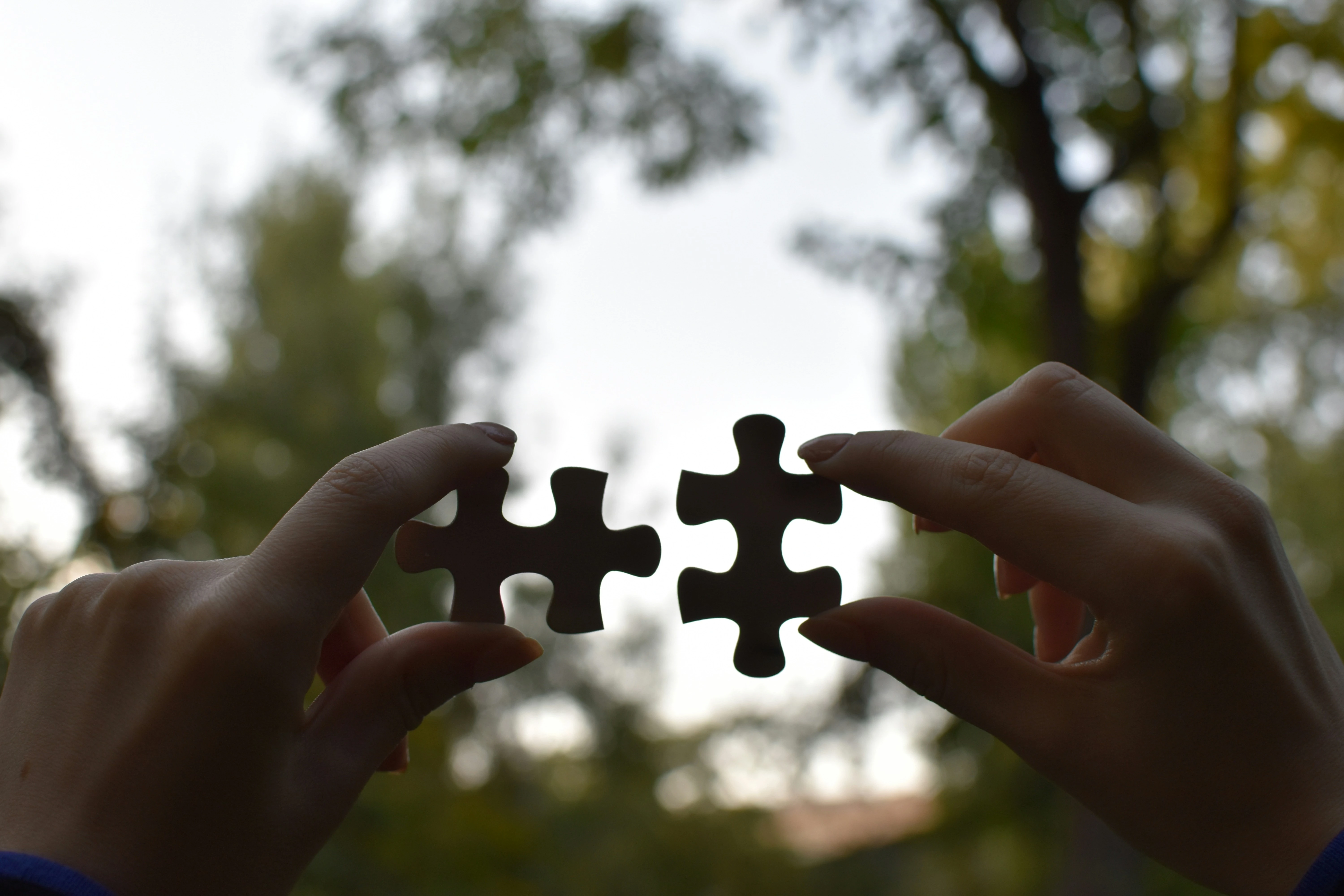 Partnership